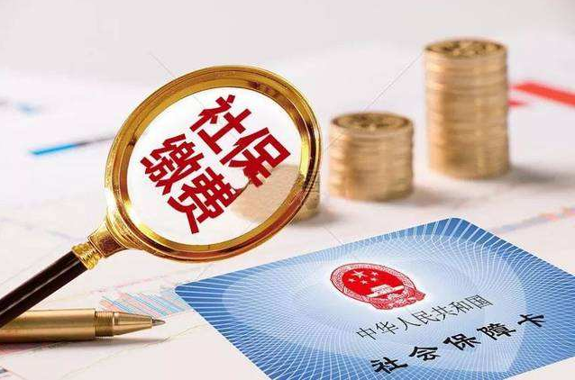 社保缴费