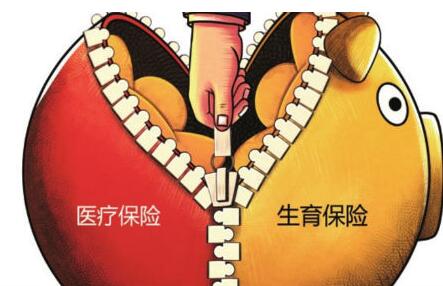 拟进行生育保险与医疗保险合并试点